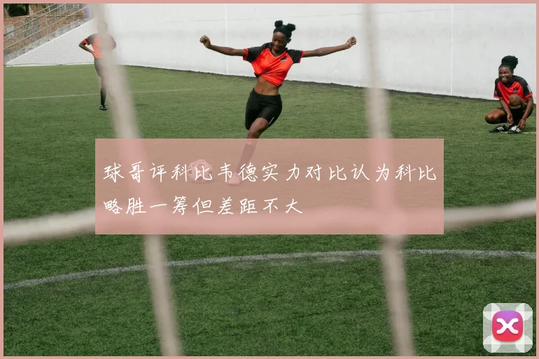 球哥评科比韦德实力对比认为科比略胜一筹但差距不大