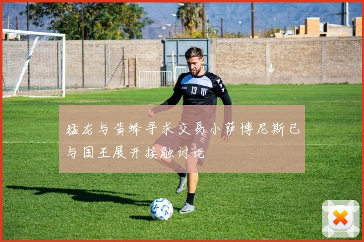 猛龙与黄蜂寻求交易小萨博尼斯已与国王展开接触讨论